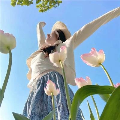 东离剑游纪第三季